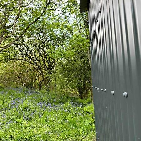 Cornwall Woodland Shepherd'S Hut - Dennis Hut Bodmin Kültér fotó