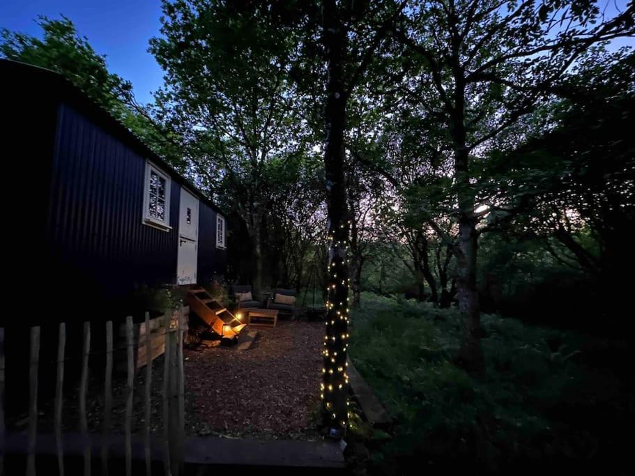 Cornwall Woodland Shepherd'S Hut - Dennis Hut Bodmin Kültér fotó