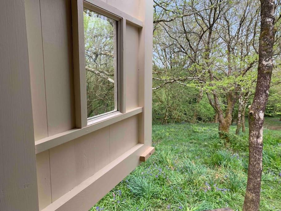 Cornwall Woodland Shepherd'S Hut - Dennis Hut Bodmin Kültér fotó