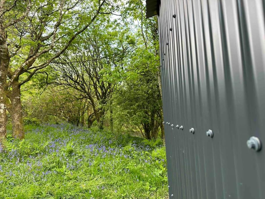 Cornwall Woodland Shepherd'S Hut - Dennis Hut Bodmin Kültér fotó