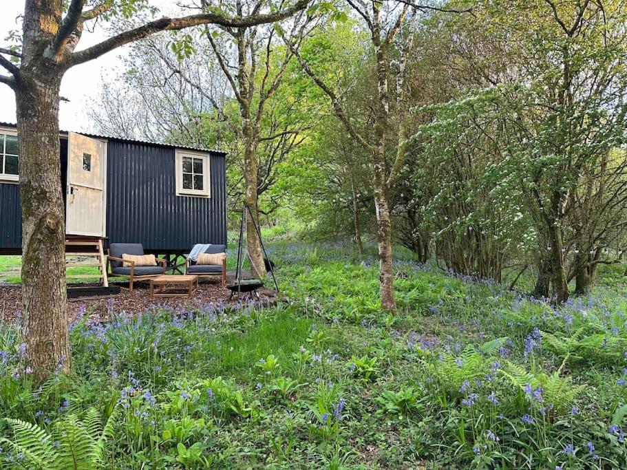 Cornwall Woodland Shepherd'S Hut - Dennis Hut Bodmin Kültér fotó
